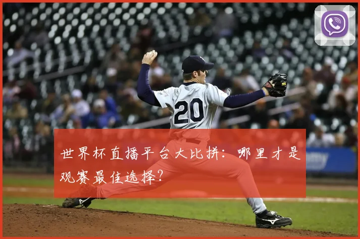 世界杯直播平台大比拼：哪里才是观赛最佳选择？