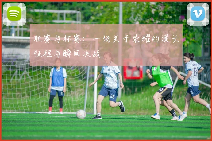 联赛与杯赛:一场关于荣耀的漫长征程与瞬间决战