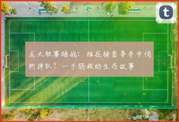 五大联赛暗战:谁在榜首争夺中悄然掉队?一个弱旅的生存故事
